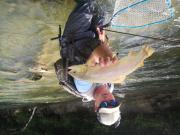 Rok and brown trout, Savinja